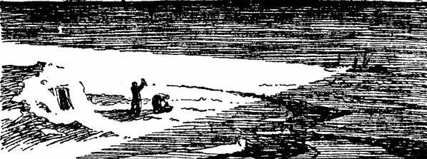 Константин Бадигин - Три зимовки во льдах Арктики