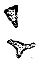 Эдгар По - Сообщение Артура Гордона Пима