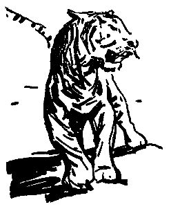 Виталий Мелентьев - Иероглифы Сихотэ-Алиня