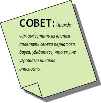 Хорст Бильфельд - Волнистые попугаи