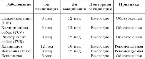 Екатерина Константинова - Русский охотничий спаниель