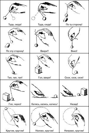 М. Андросова, Светлана Груничева и др. - Я хочу играть. Развивающие игры с...