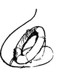 Крушение "Кантокуэна"