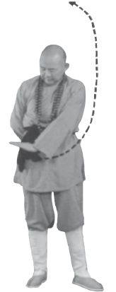 Ши Децянь, Алексей Маслов - Гимнастика Бодхидхармы