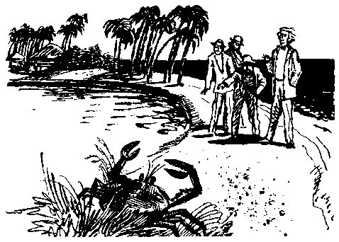 Жюль Верн - Плавучий остров. Вверх дном