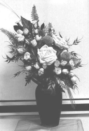 Сборник, Александр Копытин - Фототерапия: использование фотографий в...