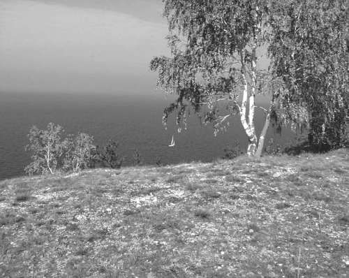 Сборник, Александр Копытин - Фототерапия: использование фотографий в...