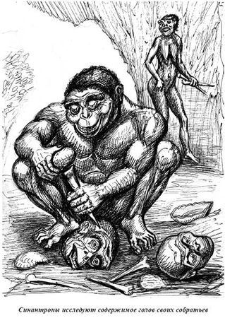 Александр Белов - Тайная родословная человека. Загадка превращения людей в животных