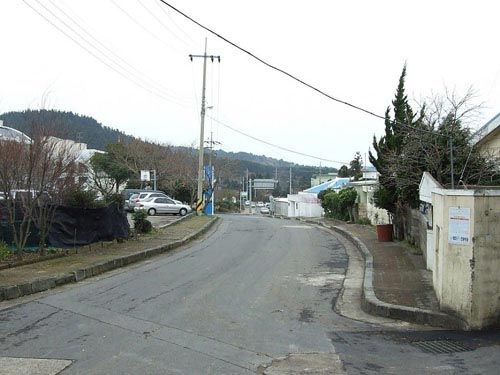 Андрей Кощиенко - Чужая шкурка [с иллюстрациями]