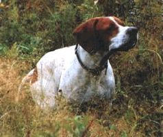 Сергей Алексеев - Ох, охота!