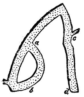 Эдгар По - Сообщение Артура Гордона Пима