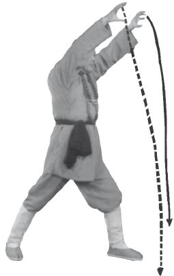 Ши Децянь, Алексей Маслов - Гимнастика Бодхидхармы