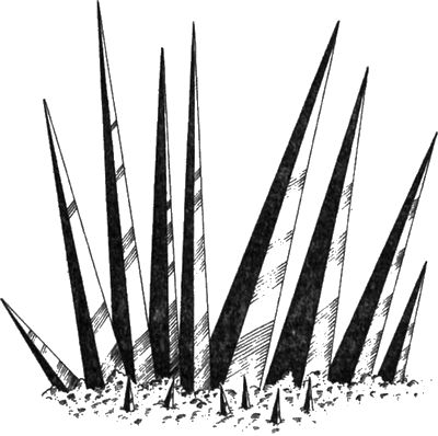 Вальтер Моэрс - 13 1/2 жизней капитана по имени Синий Медведь