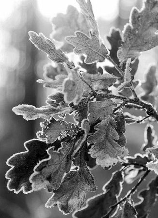 Владимир Головин - По ту сторону смерти. Ответы на вопросы