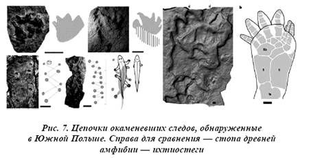 Александр Белов - Тайная родословная человека. Загадка превращения людей в животных