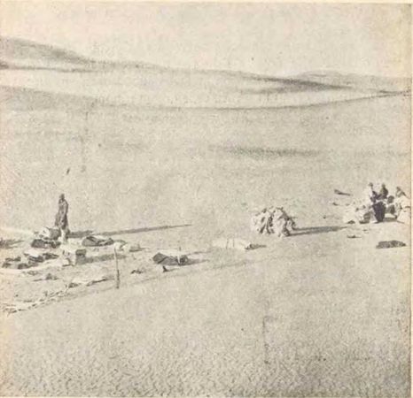 Сергей Дмитриев - В заоблачной стране