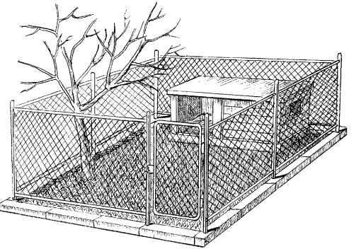 Марина Куропаткина - Американский кокер-спаниель