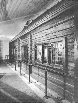 Болеслав Пукинский - Санкт-Петербург. 1000 вопросов и ответов