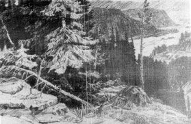 Н. Киселева - Изобразительное искусство Алтайского края. История,...