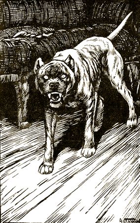 Владимир Дуров - Звери дедушки Дурова