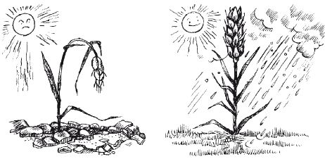 Евгений Рогов - Психология человека
