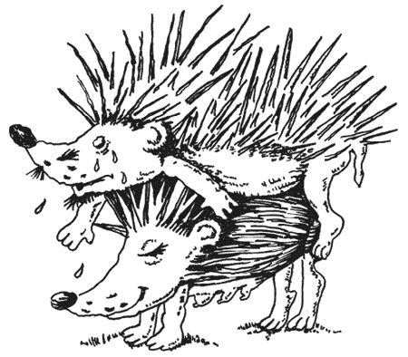 Милена Сигаева - Странности животной сексуальности. Как они делают это...?