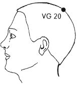 Ши Децянь, Алексей Маслов - Гимнастика Бодхидхармы