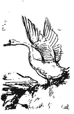 Александр Линевский - Листы каменной книги