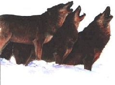 Сергей Алексеев - Ох, охота!