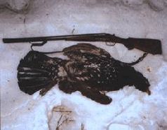 Сергей Алексеев - Ох, охота!