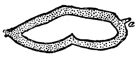 Эдгар По - Сообщение Артура Гордона Пима