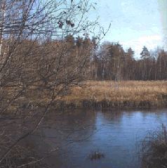 Сергей Алексеев - Ох, охота!