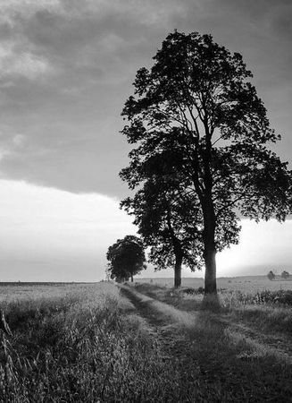 Владимир Головин - По ту сторону смерти. Ответы на вопросы