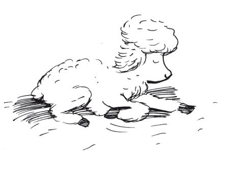 Татьяна Стрыгина - Рождественские стихи русских поэтов