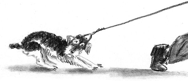 Наталья Нусинова - Приключения Джерика