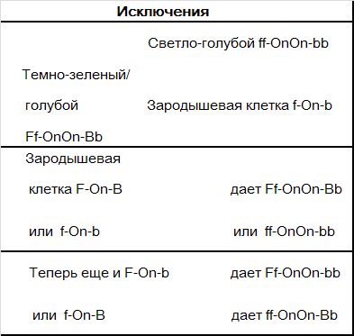 Хорст Бильфельд - Волнистые попугаи