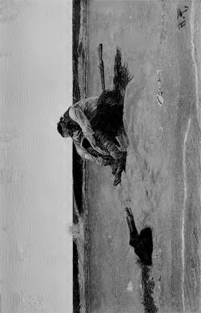 Говард Пайл - Пираты южных морей