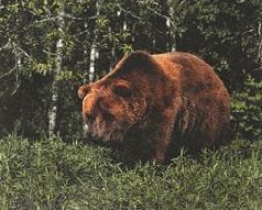 Сергей Алексеев - Ох, охота!