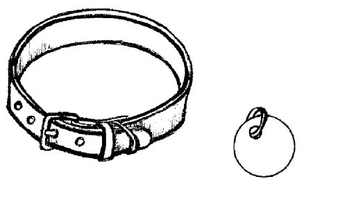Екатерина Константинова - Русский охотничий спаниель