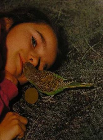 Хорст Бильфельд - Волнистые попугаи