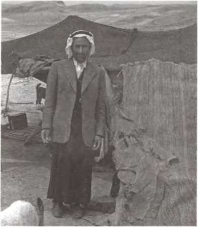 Джеймс Вандеркам - Свитки Мертвого моря. Долгий путь к разгадке