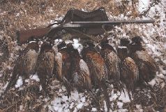 Сергей Алексеев - Ох, охота!