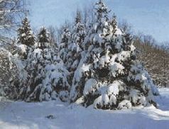 Сергей Алексеев - Ох, охота!