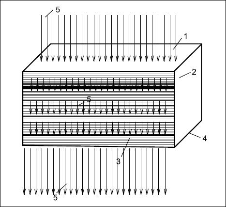 Сергей Кашин - Печи и камины в доме