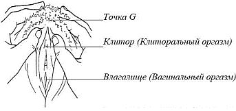 Владимир Журавлев - Чего хотят женщины