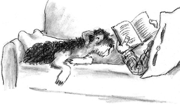 Наталья Нусинова - Приключения Джерика