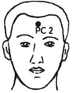 Ши Децянь, Алексей Маслов - Гимнастика Бодхидхармы