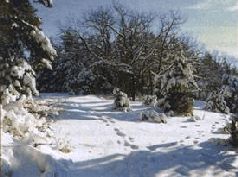 Сергей Алексеев - Ох, охота!