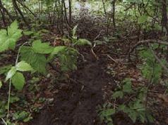 Сергей Алексеев - Ох, охота!