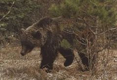 Сергей Алексеев - Ох, охота!